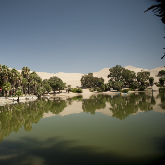 Huacachina Oasis